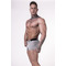 Чоловічі труси Nebbia Trunks Light Grey 701