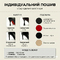 Профессиональные ботильоны для High Heels из натуральной кожи Premier, лиловые, с открытым носком и шнуровкой