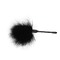 Пушок на довгій ручці CHISA Senuelo Pleasure Feather Tickler, чорний