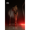 Шорты Venus Iconic LANA Mesh для Pole Dance с высокой посадкой