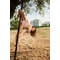 Комплект для pole dance ArtGO Sport Mavka & Spicy з біфлексу на одне плече