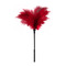 Стек з пір'ям GP SMALL FEATHER TICKLER RED