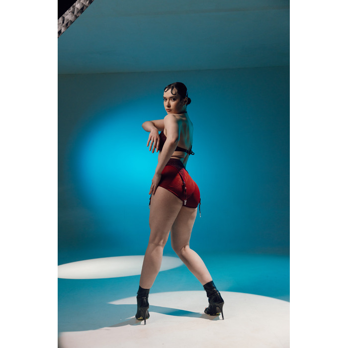 DOUBLE MESH shorts Bordo mesh_ бордо сітка