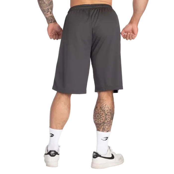 Шорти сітчасті GASP Original Mesh Shorts 221104 Grey