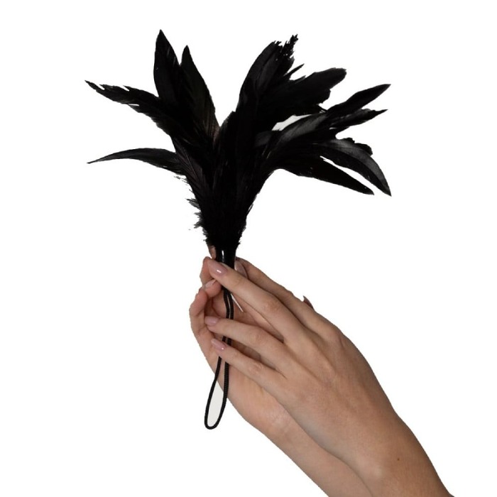 Перья для щекотания Adrien Lastic Prestige черные