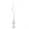 Boots Pleaser Adore-2020C *Каблук 7 дюймов, 2 3/4 дюйма, PF шнуровка, прозрачный
