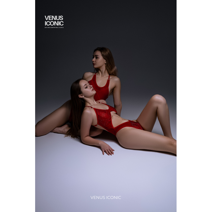 Боді Venus Iconic NAKED EDEN зі стразами для сцени та фотосесій